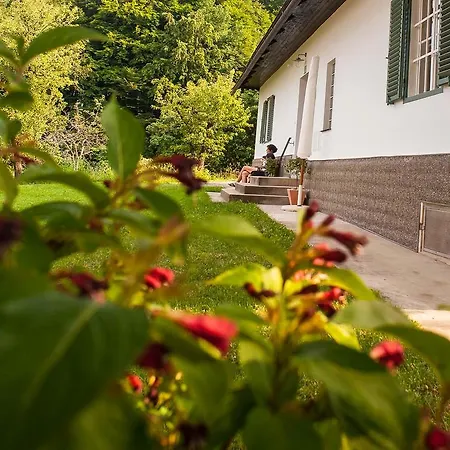 Сasa de vacaciones Vogeljager Leutschach