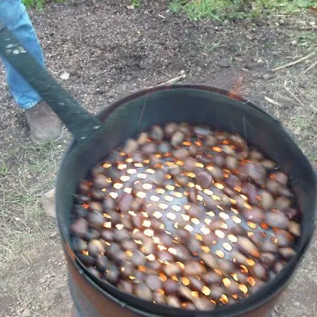 Vogeljager * Leutschach