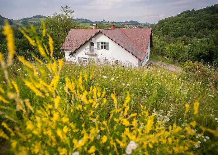 Vogeljager * Leutschach