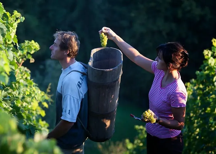 Vogeljager Holiday home